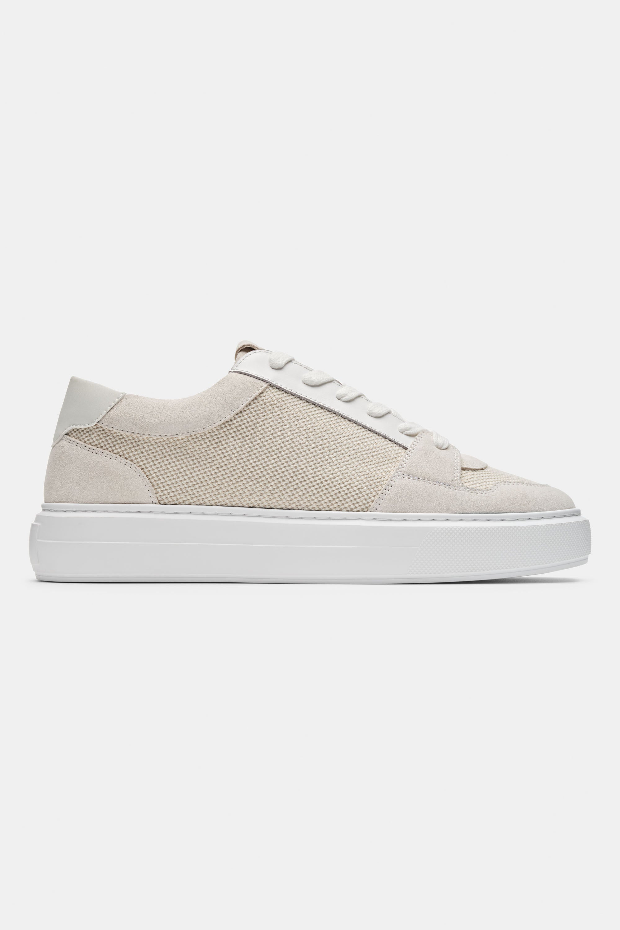 THE PAVIO TRAINER