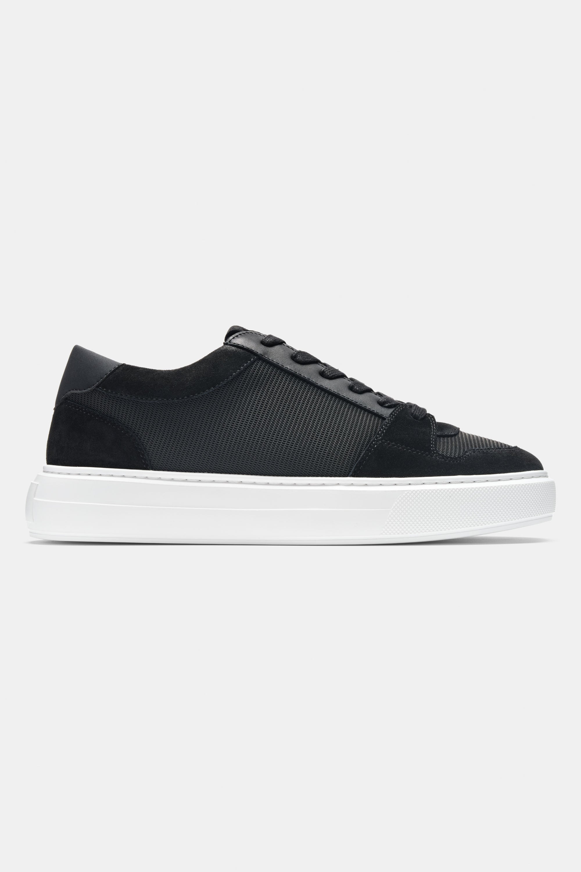 THE PAVIO TRAINER