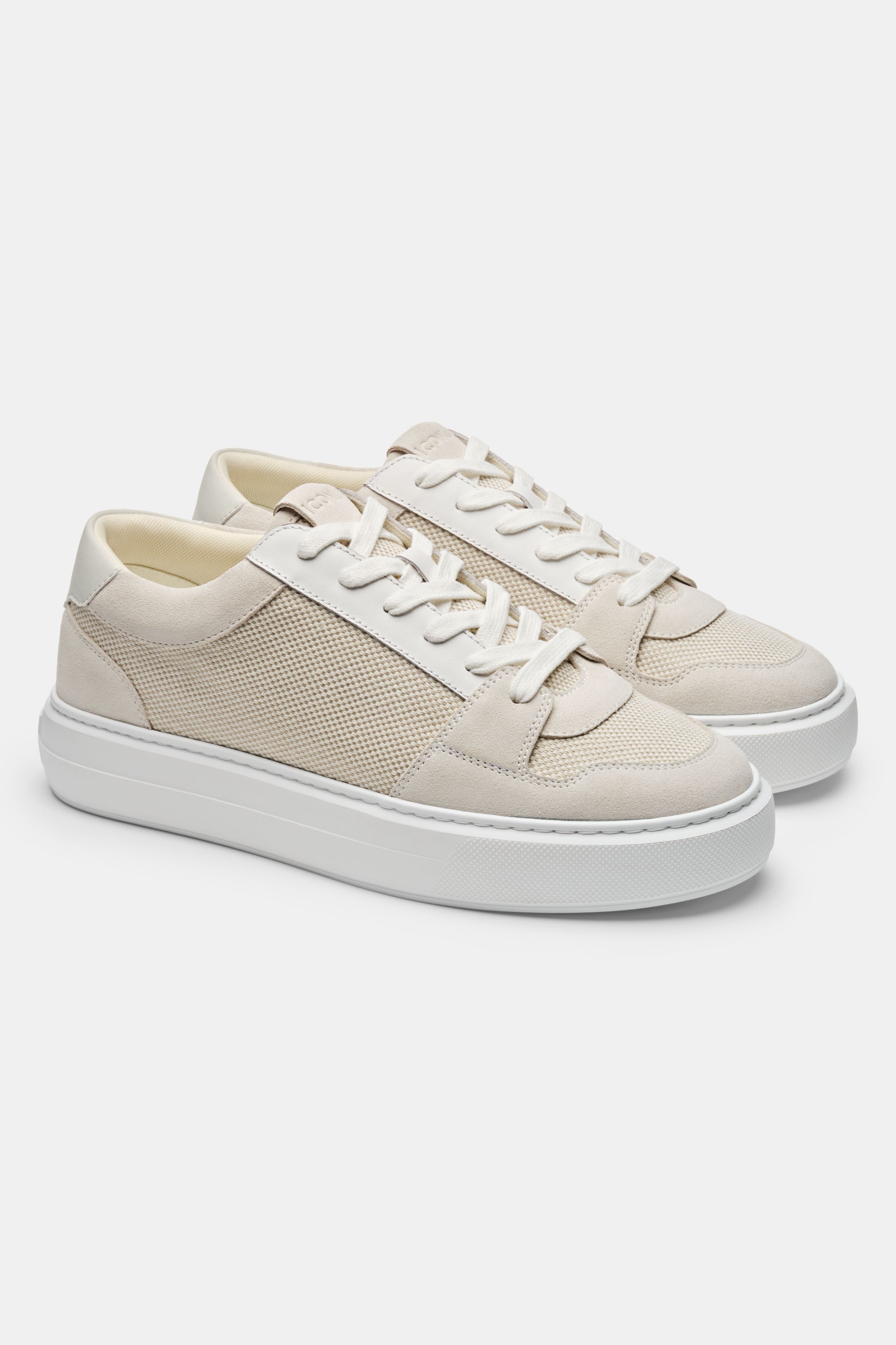 THE PAVIO TRAINER