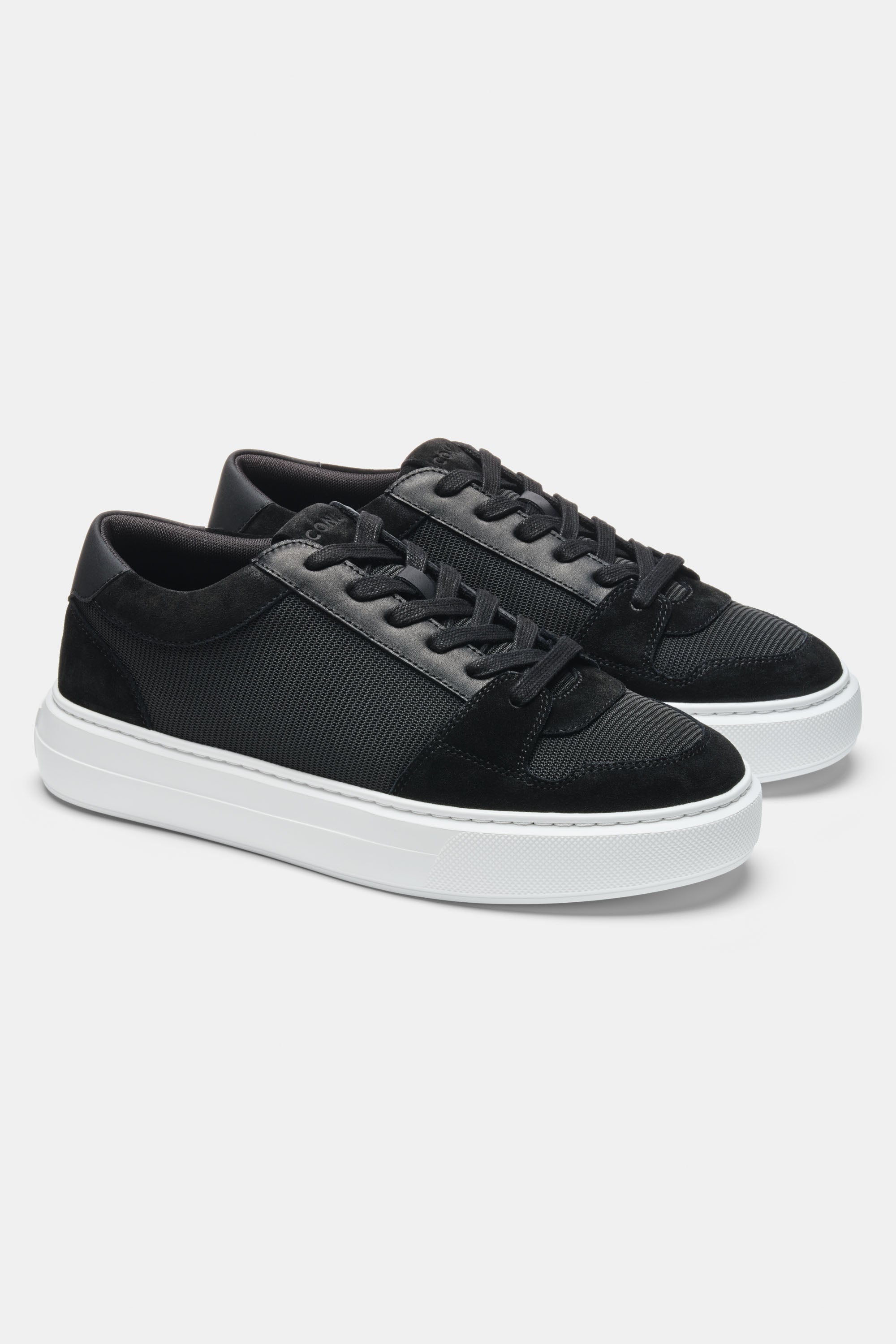 THE PAVIO TRAINER