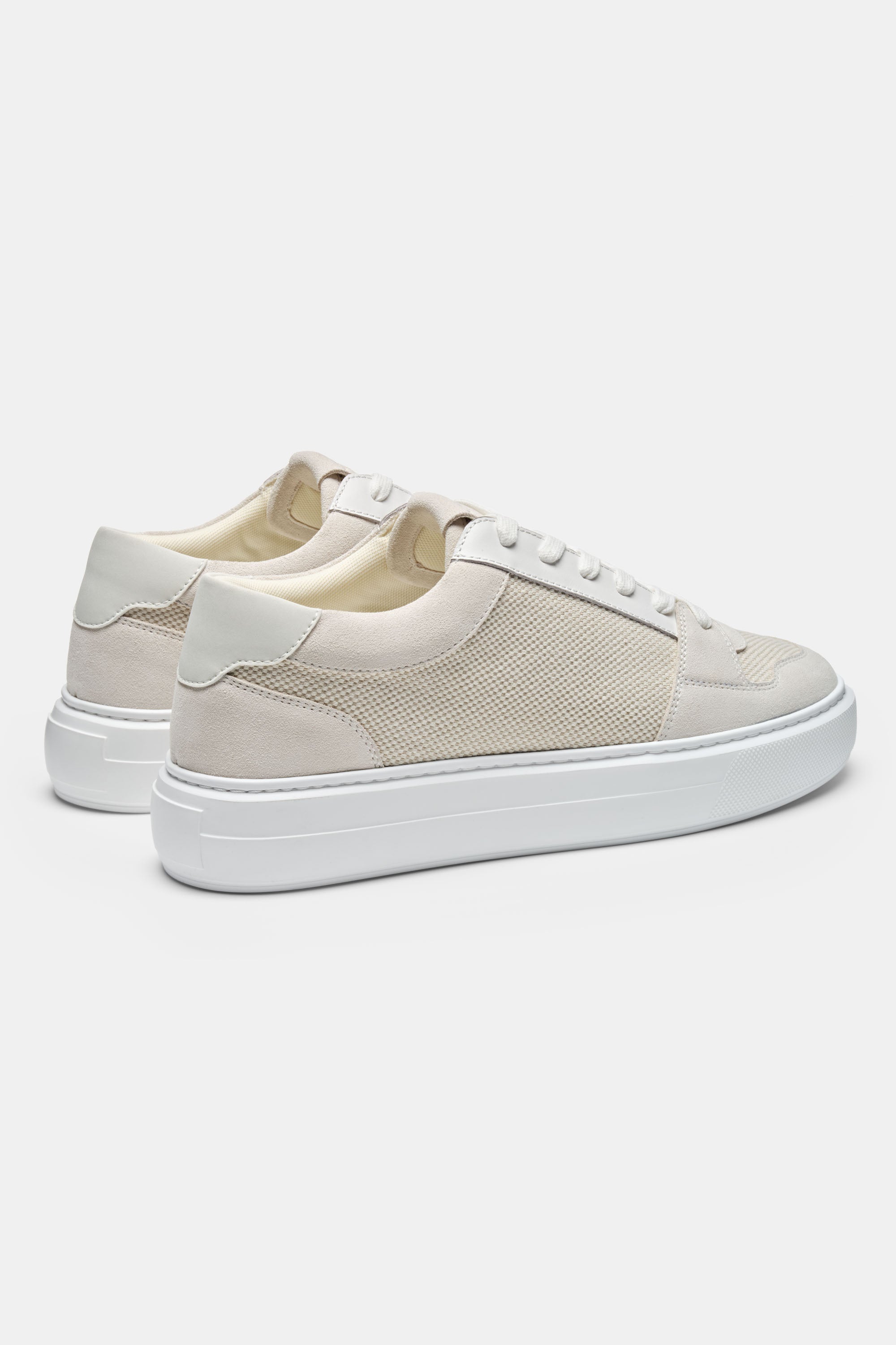 THE PAVIO TRAINER