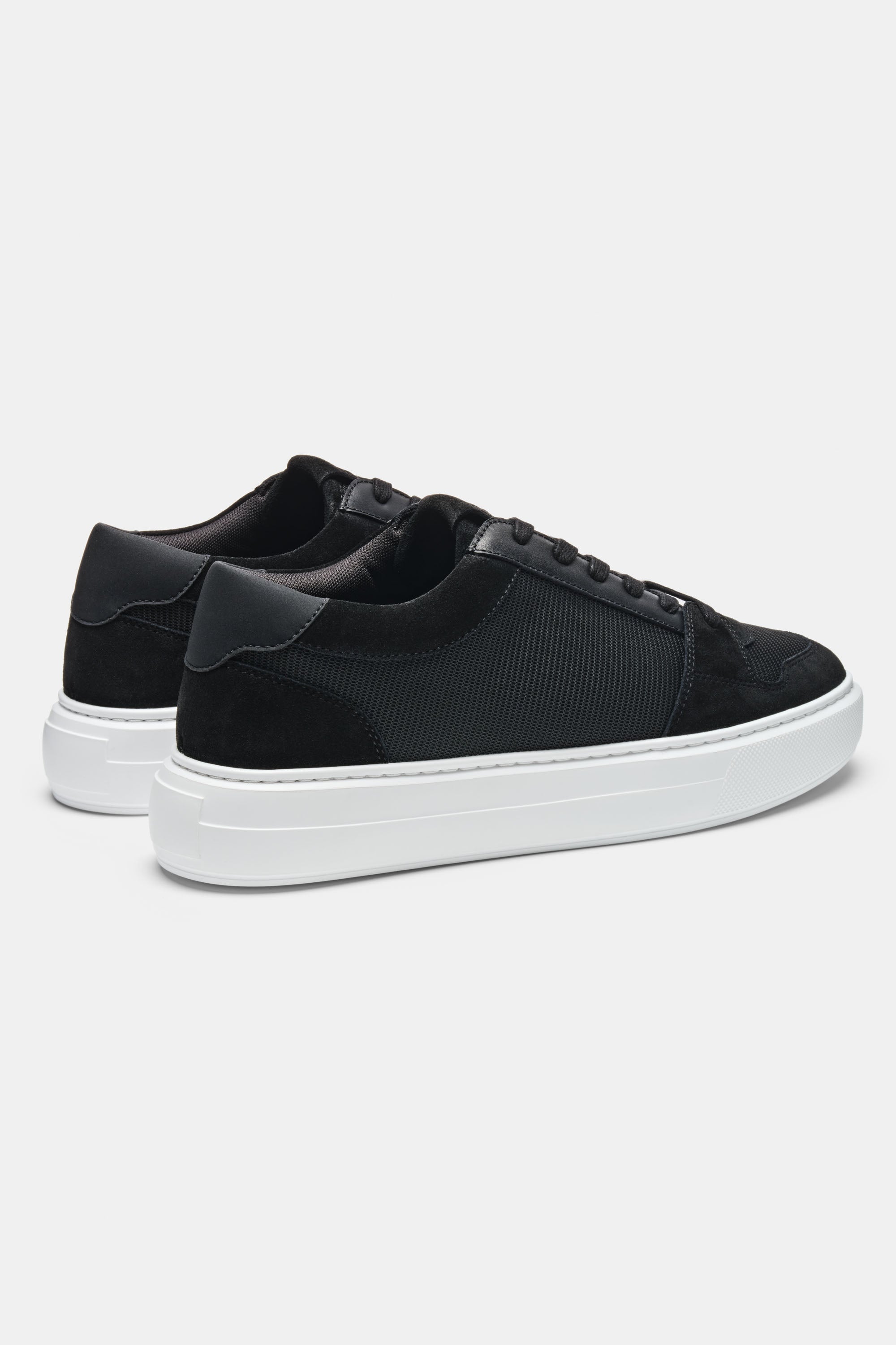 THE PAVIO TRAINER