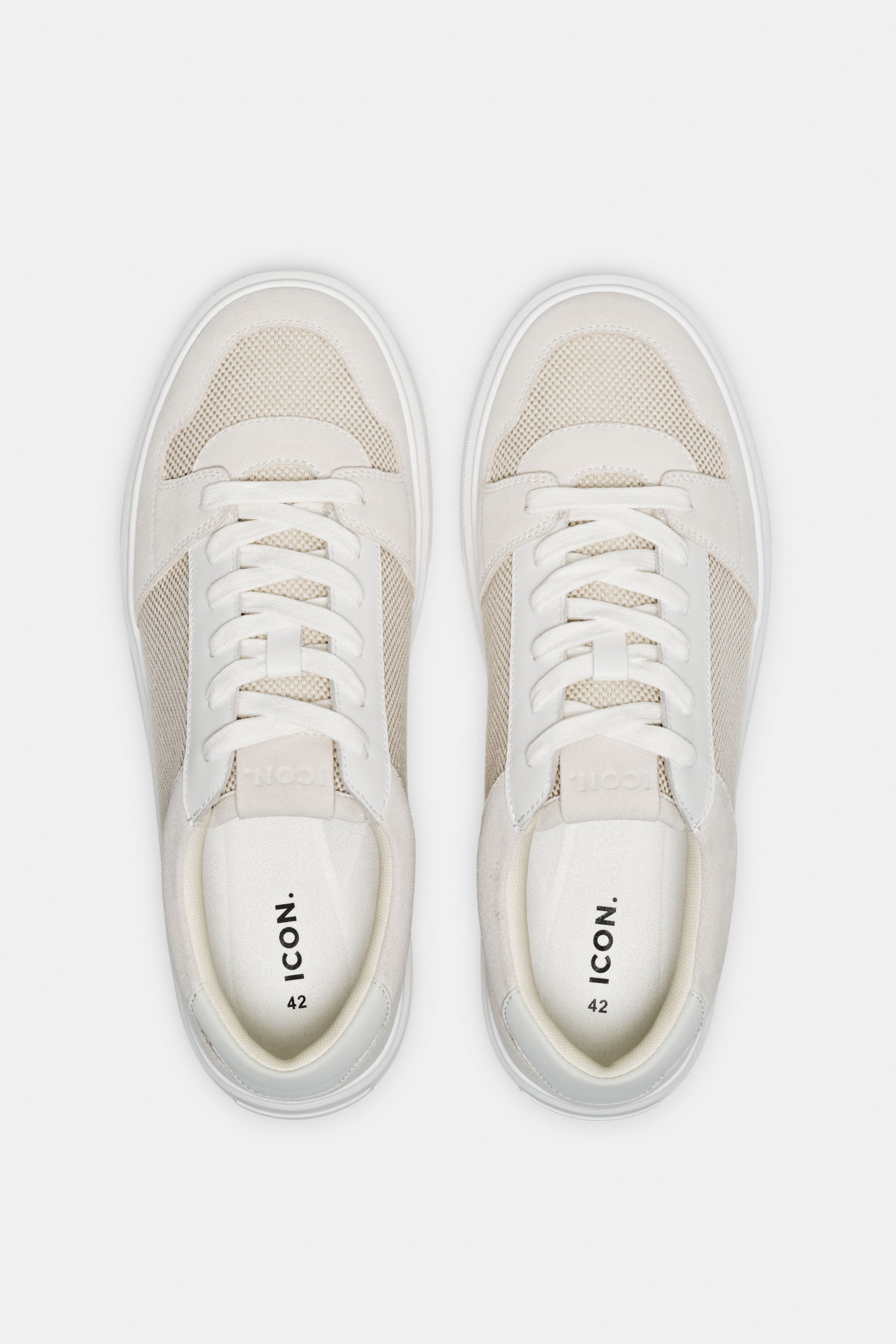 THE PAVIO TRAINER